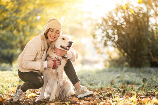 Pet Insurance